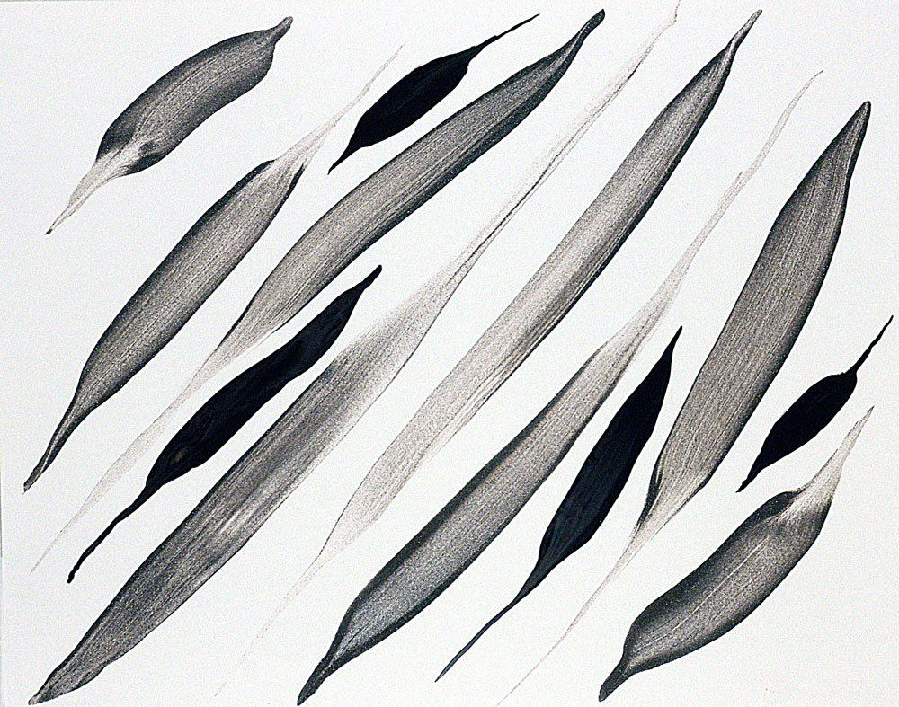 Feather, Pod and Leaf Abstract Painting -Black White Nature By Catherine Jeltes