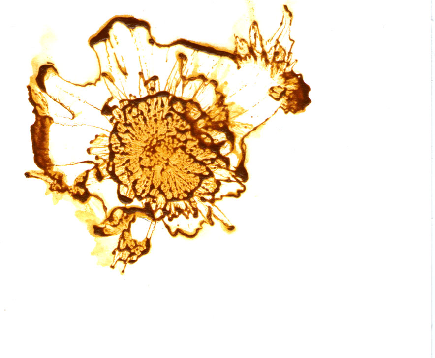 Orange Floral Abstract Modern Flower Contemporary Home Decor