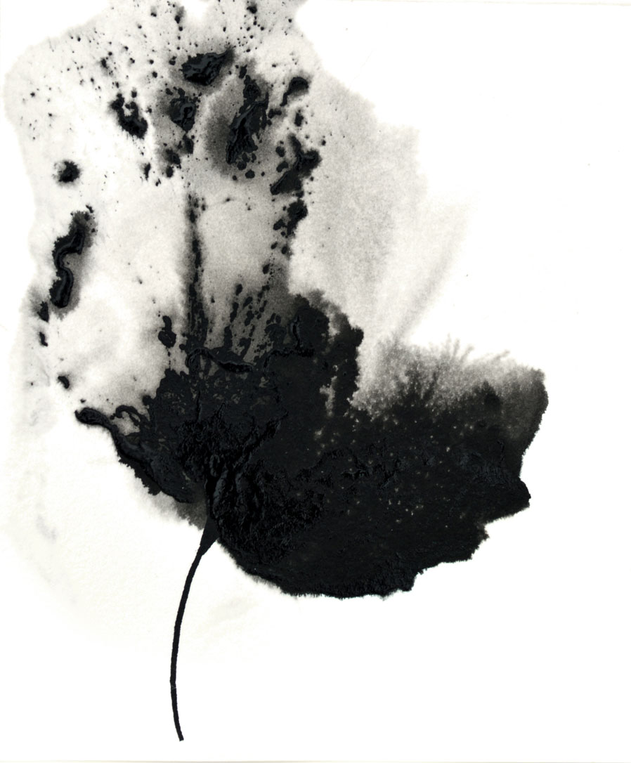 Art Painting Flower Abstract Floral Black White Art