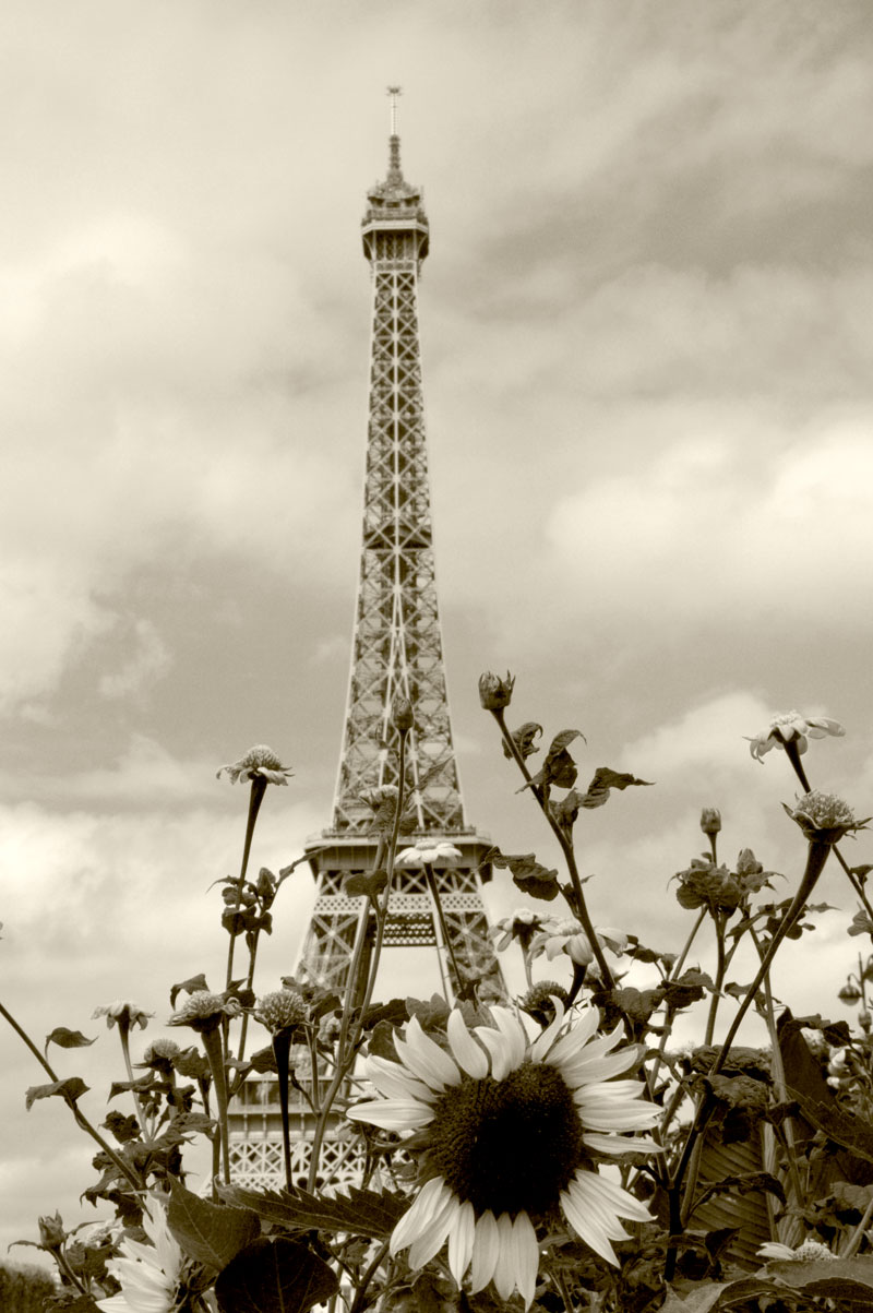 Eiffel Tower Wall Art Paris Photography Print French Sepia